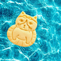 ハチワレ猫さん〜夏バージョン〜　クッキーカッター/クッキー型 4枚目の画像