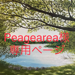 Peagearea様専用ページ 1枚目の画像