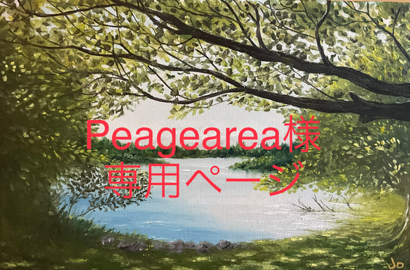 Peagearea様専用ページ 1枚目の画像