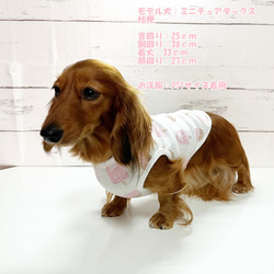 タンクトップ アイスクリーム柄 【ストロベリー】 Dog 犬服 ドッグウェア 秋～春　アイス 7枚目の画像