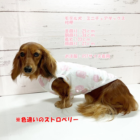 タンクトップ アイスクリーム柄 【バニラ】 Dog 犬服 ドッグウェア 秋～春　アイス 7枚目の画像