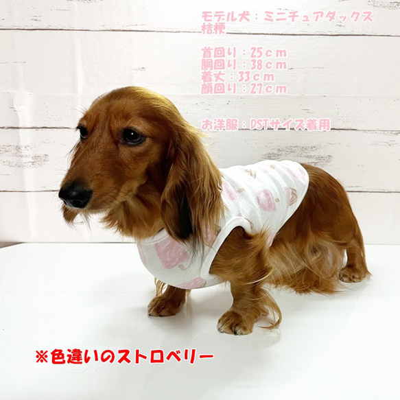 タンクトップ アイスクリーム柄 【バニラ】 Dog 犬服 ドッグウェア 秋～春　アイス 8枚目の画像