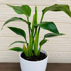 0b58d126c779040a71bf5fdc9be158