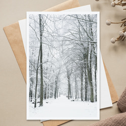 静寂の森』｜雪に包まれたKaløの冬景色《北欧デンマークの風景写真