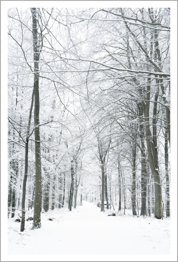Kalø（カルー）の冬 ｜ デンマークの風景ポストカード 1枚目の画像