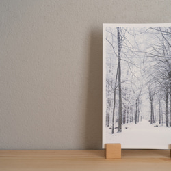 Kalø（カルー）の冬 ｜ デンマークの風景ポストカード 3枚目の画像