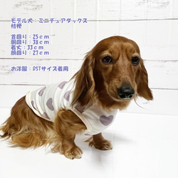 タンクトップ ハート柄 【ラベンダー】 Dog 犬服 ドッグウェア 秋～春　ハート Heart 7枚目の画像