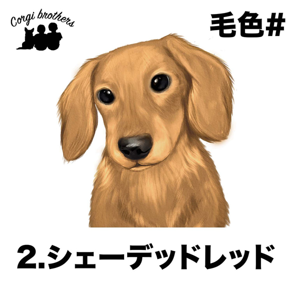 【 ダックスフンド 水彩画風 毛色7色 】　手帳 スマホケース 犬 うちの子 iPhone & Android 3枚目の画像
