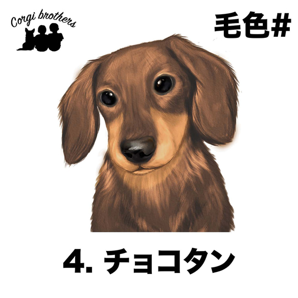 【 ダックスフンド 水彩画風 毛色7色 】　手帳 スマホケース 犬 うちの子 iPhone & Android 5枚目の画像
