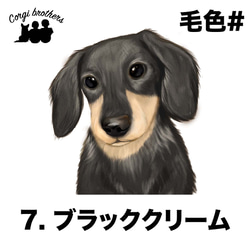 【 ダックスフンド 水彩画風 毛色7色 】　手帳 スマホケース 犬 うちの子 iPhone & Android 8枚目の画像