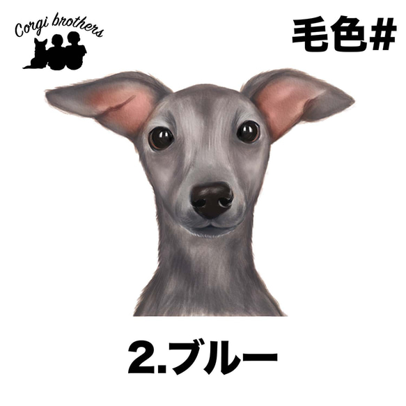 【 イタリアングレイハウンド 水彩画風 毛色4色 】手帳 スマホケース 犬 うちの子 iPhone & Android 3枚目の画像