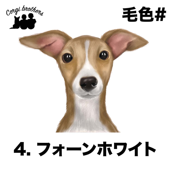 【 イタリアングレイハウンド 水彩画風 毛色4色 】手帳 スマホケース 犬 うちの子 iPhone & Android 5枚目の画像