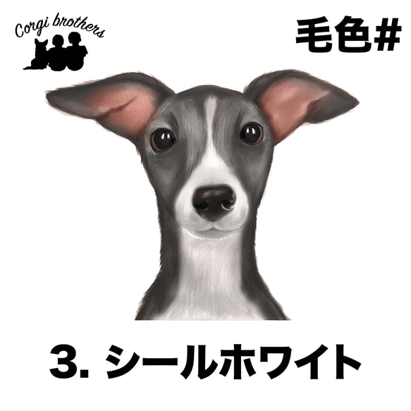 【 イタリアングレイハウンド 水彩画風 毛色4色 】手帳 スマホケース 犬 うちの子 iPhone & Android 4枚目の画像