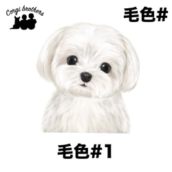 【 マルチーズ 水彩画風 毛色1色 】　手帳 スマホケース 犬 うちの子 iPhone & Android 2枚目の画像