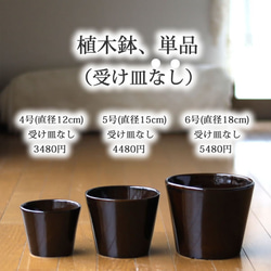 濃い茶色の陶器の植木鉢 (つやあり) (すり鉢タイプ) 14枚目の画像