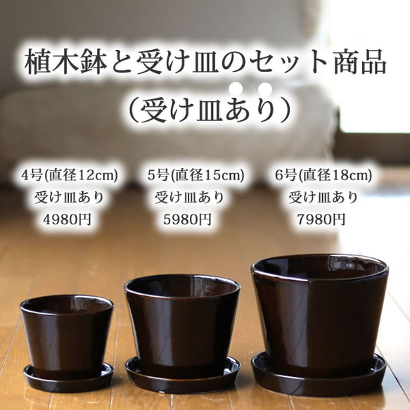濃い茶色の陶器の植木鉢 (つやあり) (すり鉢タイプ) 13枚目の画像