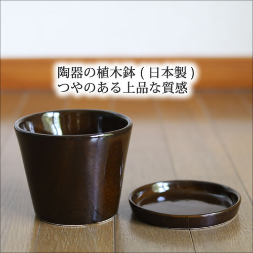 濃い茶色の陶器の植木鉢 (つやあり) (すり鉢タイプ) 一輪挿し・花瓶