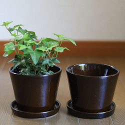濃い茶色の陶器の植木鉢 (つやあり) (すり鉢タイプ) 8枚目の画像