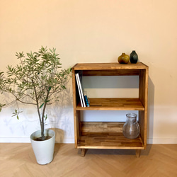 絵本棚ブックシェルフ無垢材天然の木レコード