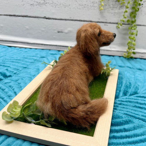 オーダー 犬 ダックス♡世界でたったひとつ 羊毛フェルト ぬいぐるみ