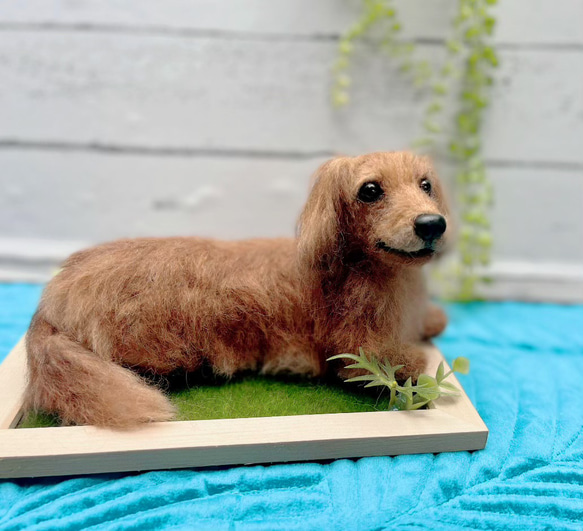 オーダー　犬♡世界でたったひとつ♡うちの子をずっとそばに♡羊毛フェルト♡ダックス　何色でも可 4枚目の画像