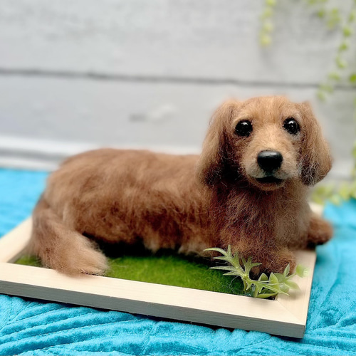 オーダー 犬 ダックス♡世界でたったひとつ 羊毛フェルト ぬいぐるみ