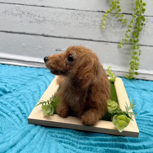 ペットメモリアル2025 ♡世界でたったひとつ♡うちの子をずっとそばに