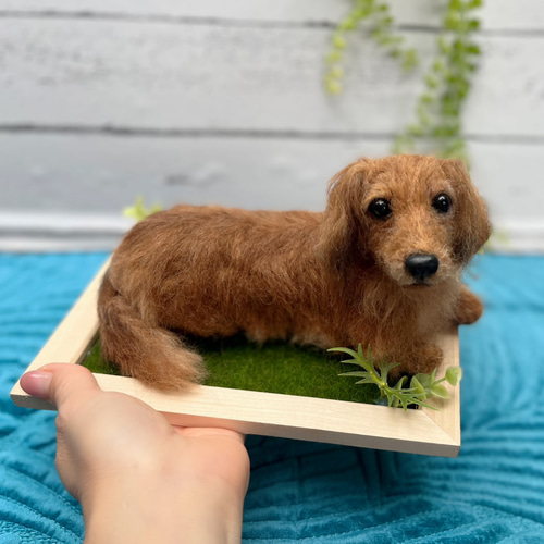オーダー 犬 ダックス♡世界でたったひとつ 羊毛フェルト ぬいぐるみ