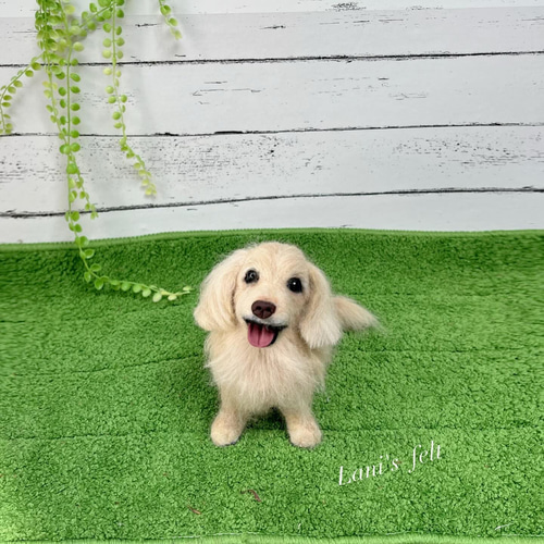 オーダー 犬 ダックス♡世界でたったひとつ 羊毛フェルト ぬいぐるみ