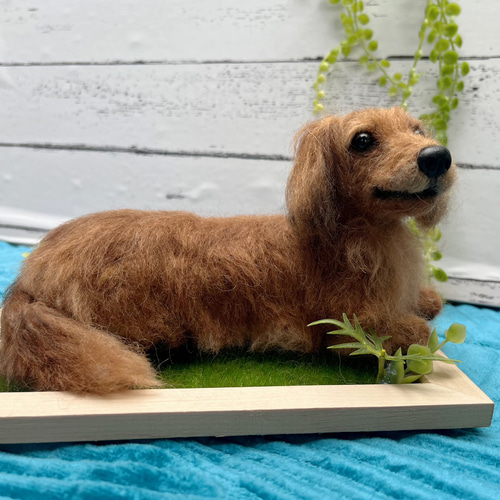 オーダー 犬 ダックス♡世界でたったひとつ 羊毛フェルト ぬいぐるみ