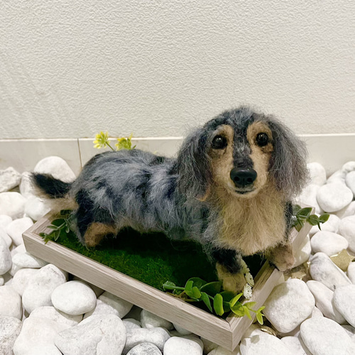 オーダー 犬 ♡羊毛フェルト 再現 ♡世界でたったひとつ♡メモリアル