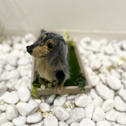 オーダー 犬 ♡羊毛フェルト 再現 ♡世界でたったひとつ