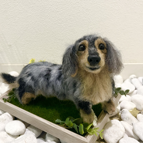 オーダー 犬 ♡羊毛フェルト 再現 ♡世界でたったひとつ♡メモリアル