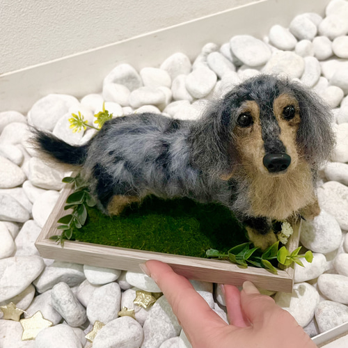 オーダー 犬 ♡羊毛フェルト 再現 ♡世界でたったひとつ♡メモリアル