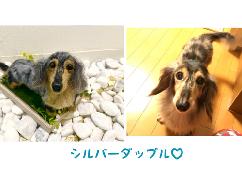 ba0d9a3d8bf1c475e9467831ac3e04