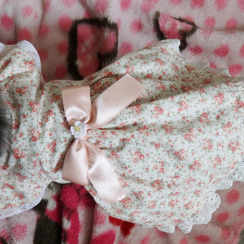 リバティ】可愛いさいっぱいワンピース＜Swim Duncl＞犬服 ペット服