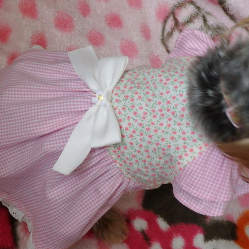 リバティ】可愛いさいっぱいワンピース＜Swim Duncl＞犬服 ペット服