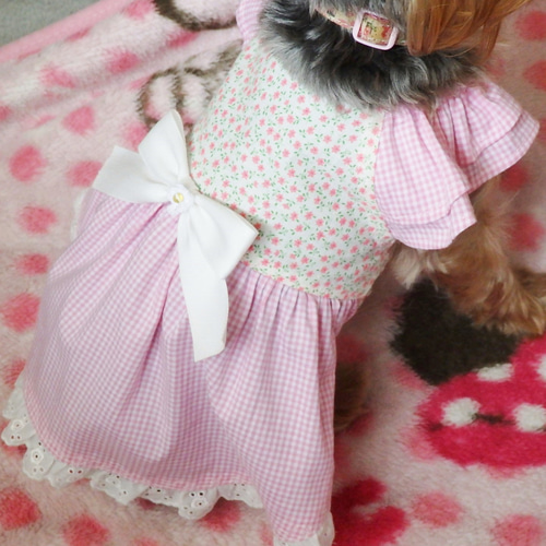 リバティ】可愛いさいっぱいワンピース＜Swim Duncl＞犬服 ペット服