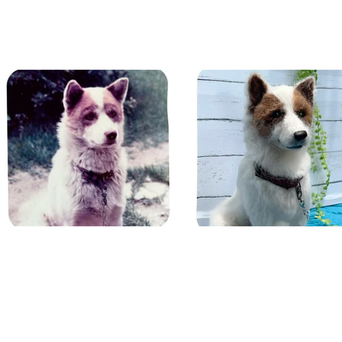 羊毛フェルトわんちゃん大きめ