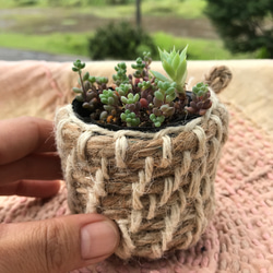 手編み　鉢　鉢カバー　多肉植物に　ミニミニ植物用に　サスティナブル　ヘンプ鉢 1枚目の画像
