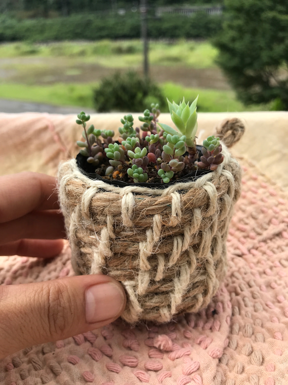 手編み　鉢　鉢カバー　多肉植物に　ミニミニ植物用に　サスティナブル　ヘンプ鉢 1枚目の画像