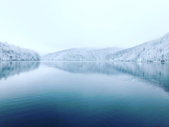 Plitvice Lakes National Park（プリトヴィツェ湖群国立公園） ｜ クロアチアの風景ポストカード 1枚目の画像