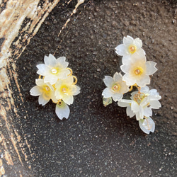 両耳セット 白色×黄色 しだれ桜のイヤーカフ (左耳用) さくらイヤーカフ 1枚目の画像