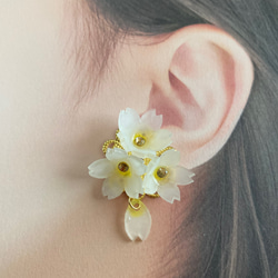 両耳セット 白色×黄色 しだれ桜のイヤーカフ (左耳用) さくらイヤーカフ 3枚目の画像