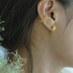 布蘭奇耳夾 第7張的照片