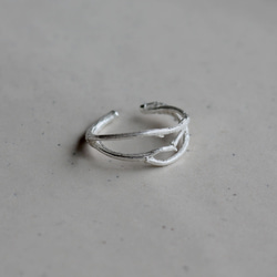 布蘭奇耳夾 第10張的照片