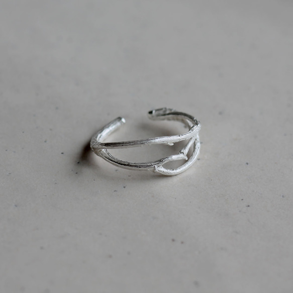 布蘭奇耳夾 第10張的照片