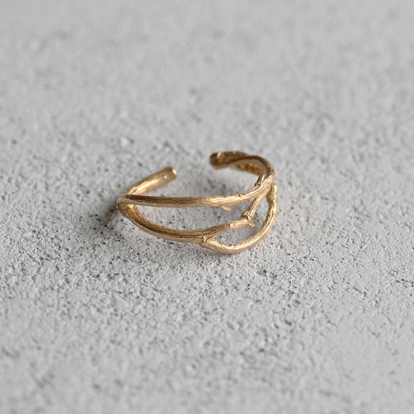 布蘭奇耳夾 第11張的照片