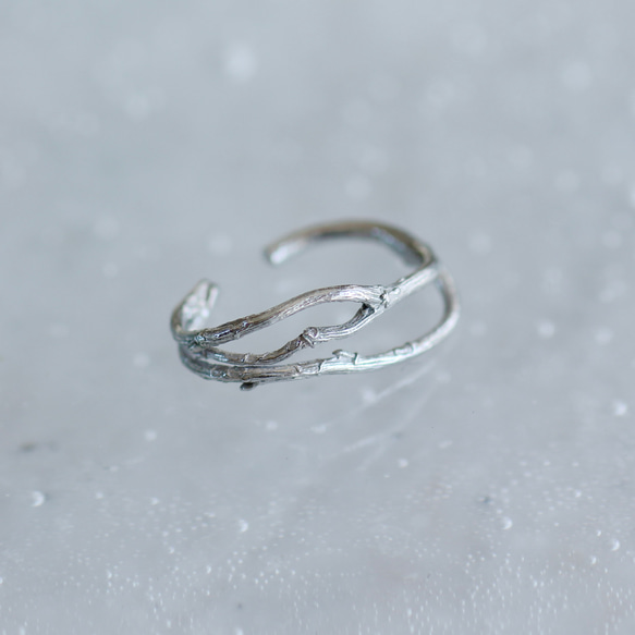 布蘭奇耳夾 第1張的照片