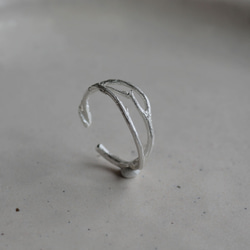 布蘭奇耳夾 第9張的照片